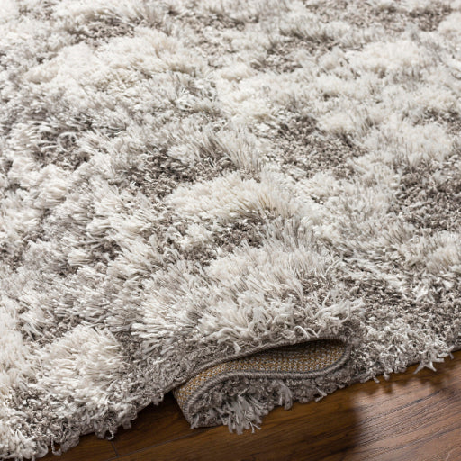 Alta Shimmer ASG-2305 Machine Woven Rug