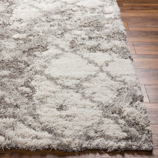 Alta Shimmer ASG-2305 Machine Woven Rug