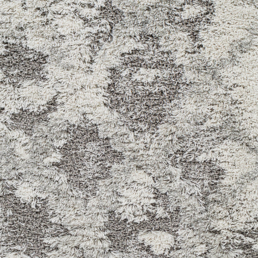 Alta Shimmer ASG-2305 Machine Woven Rug