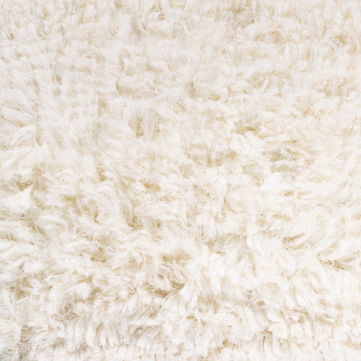 Ashton Artisan Handwoven Rug