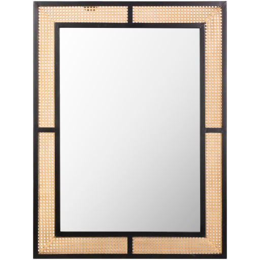 Explorer 40H x 30W x 1D Accent Mirror