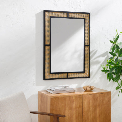 Explorer 40H x 30W x 1D Accent Mirror