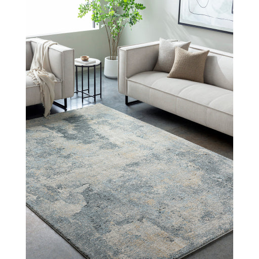 Avellino Artistic Tapestry Weave Rug