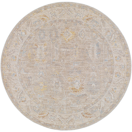 Artistic Allure AVT Machine Woven Rug