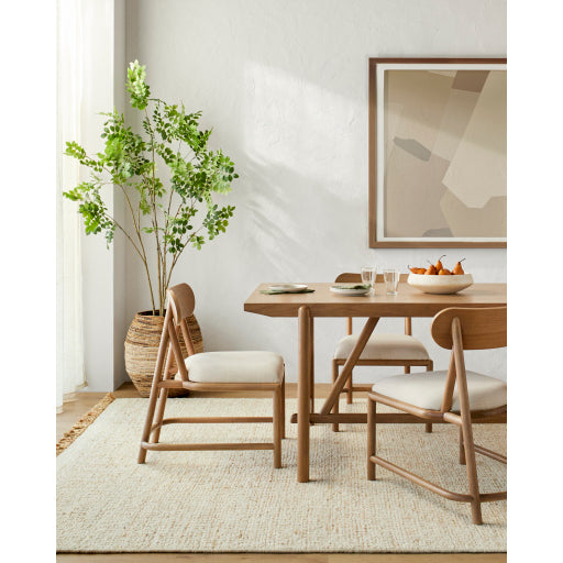 Contemporary Elegance Canvas Framed Art