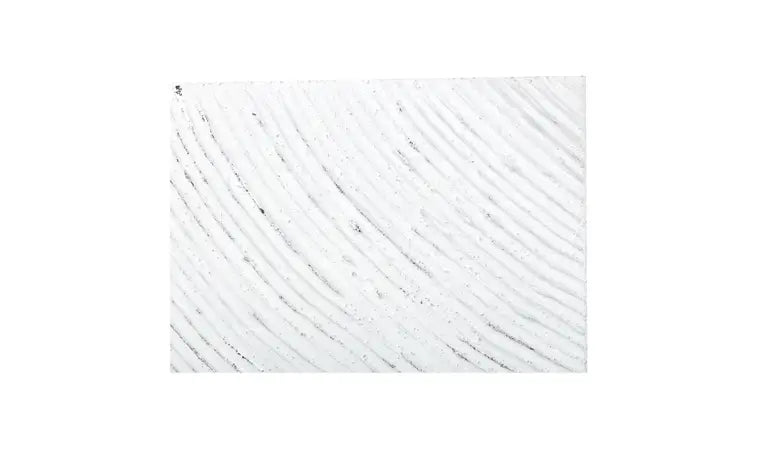 Feathered Canvas Wall Art