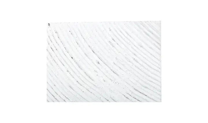 Feathered Canvas Wall Art