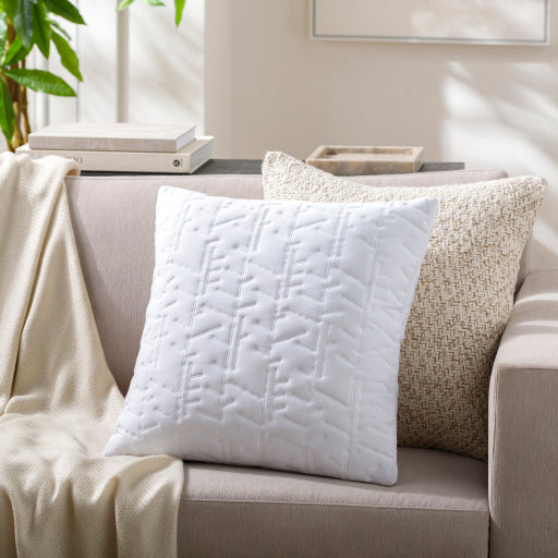 Trunk-Inspired Accents - BCD-003 18x18 Decorative Pillow