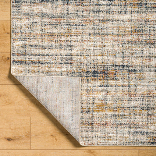Beckham Bordered Contemporary Machine Woven Rug
