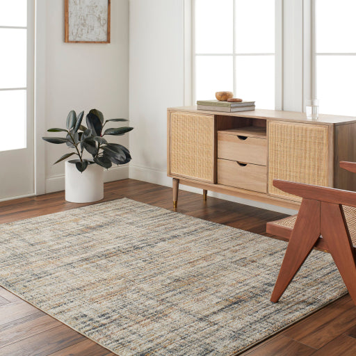 Beckham Bordered Contemporary Machine Woven Rug