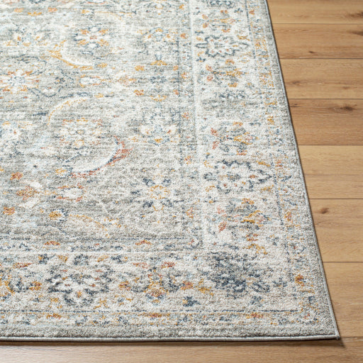 Beckham Bordered Chevron Machine Woven Rug