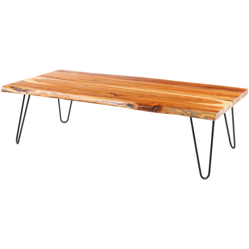 Modern Elegance Collection Large Coffee Table