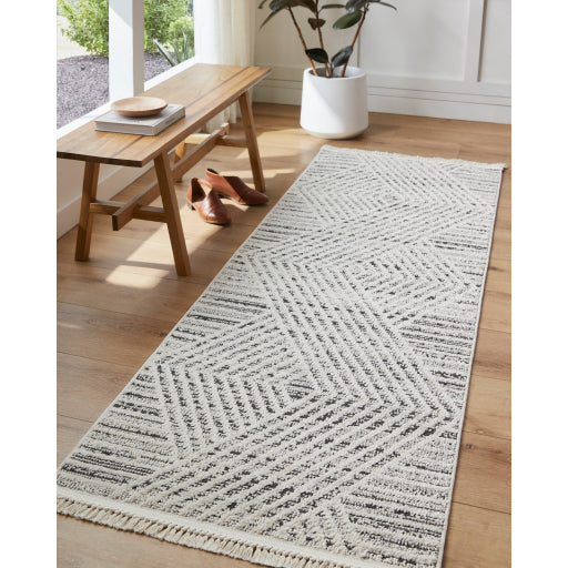 Berlin Boulevard Machine Woven Runner Rug