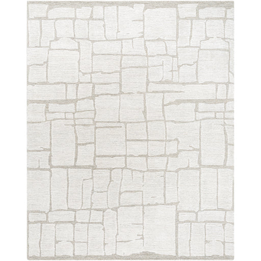 Bianca BNC-2301 Handcrafted Area Rug
