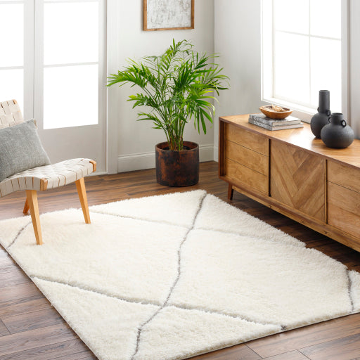 Bologna Boho-Chic Machine Woven Rug
