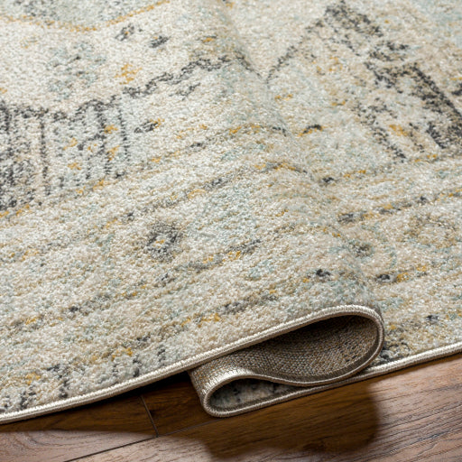 Bitlis Bazaar Symmetrical Indoor Area Rug