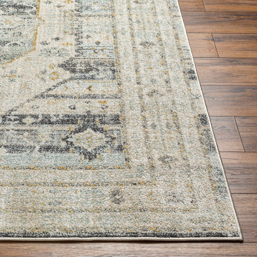 Bitlis Bazaar Symmetrical Indoor Area Rug