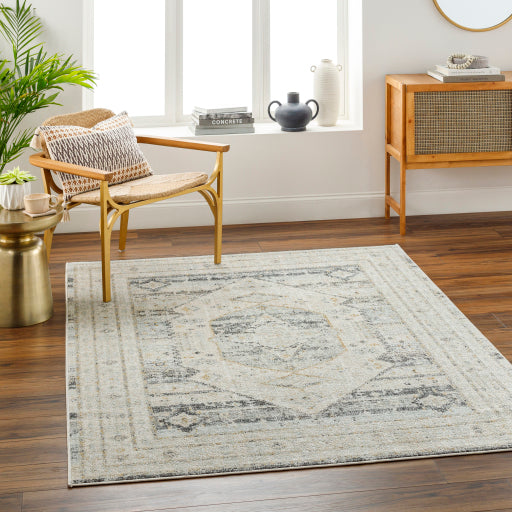 Bitlis Bazaar Symmetrical Indoor Area Rug