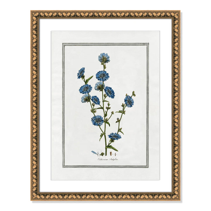 Soft Botanical I