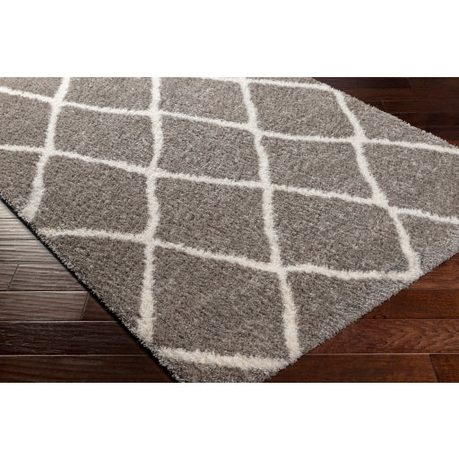 Cloudy Shag Contemporary Machine Woven Rug