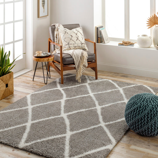 Cloudy Shag Contemporary Machine Woven Rug