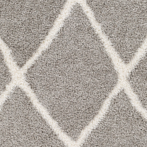 Cloudy Shag Contemporary Machine Woven Rug