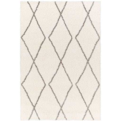 Cloudy Shag Contemporary Decorative Rug