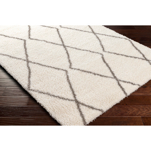 Cloudy Shag Contemporary Decorative Rug