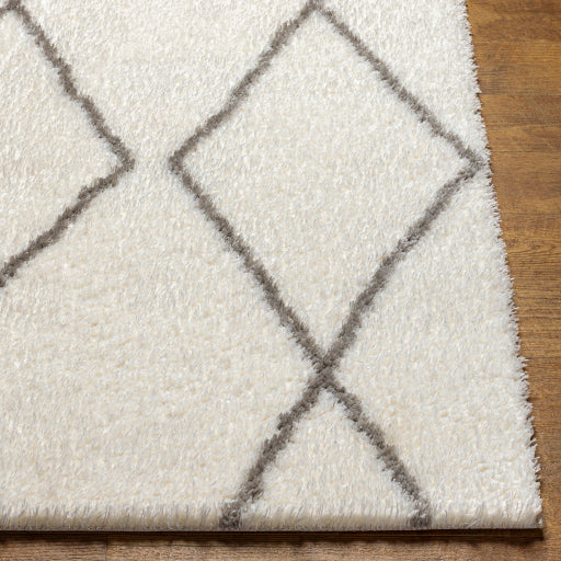 Cloudy Shag Contemporary Decorative Rug