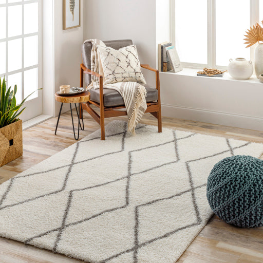 Cloudy Shag Contemporary Decorative Rug