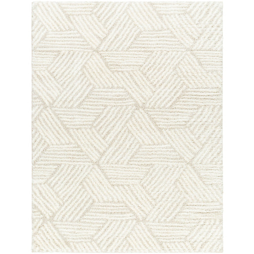 Cloudy Shag Contempo Decorative Rug
