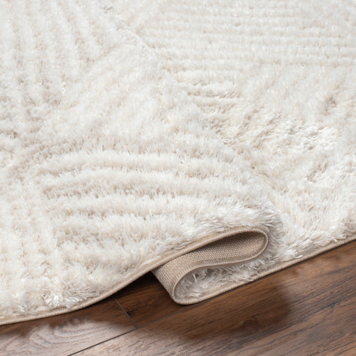 Cloudy Shag Contempo Decorative Rug
