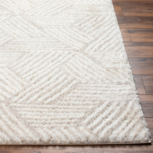 Cloudy Shag Contempo Decorative Rug