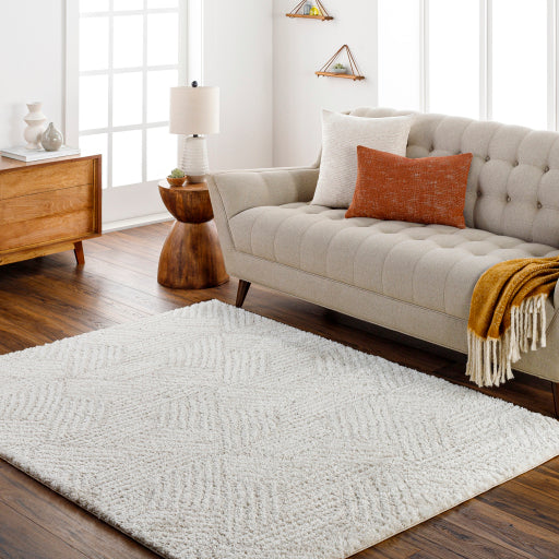 Cloudy Shag Contempo Decorative Rug
