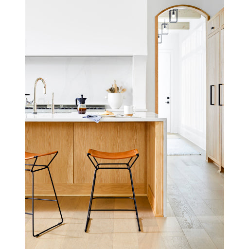 Luxurious Leather Topped CELE-001 25"H x 17"W x 18"D