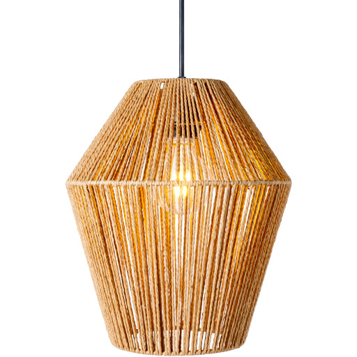 Stylish Statement Pendant Light