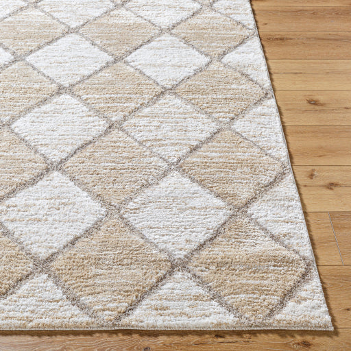 Delight Swirls Machine Woven Rug