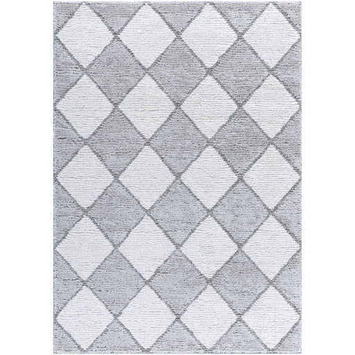 Delightful Serenity DEL-2307 Machine Woven Rug