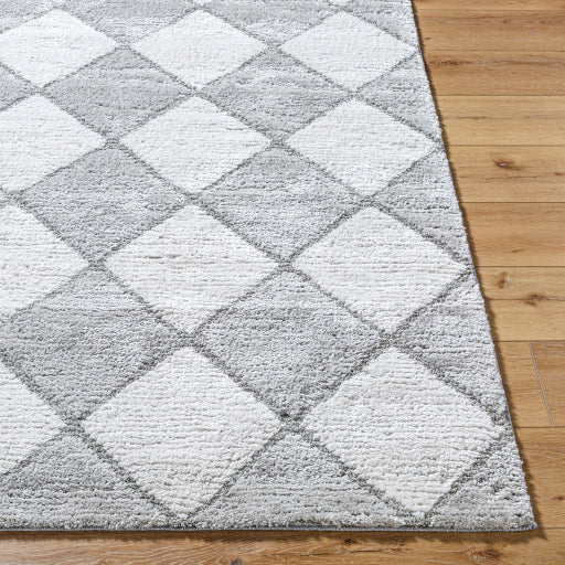 Delightful Serenity DEL-2307 Machine Woven Rug