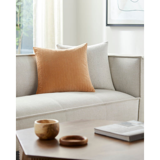 Modern Elegance Pillow