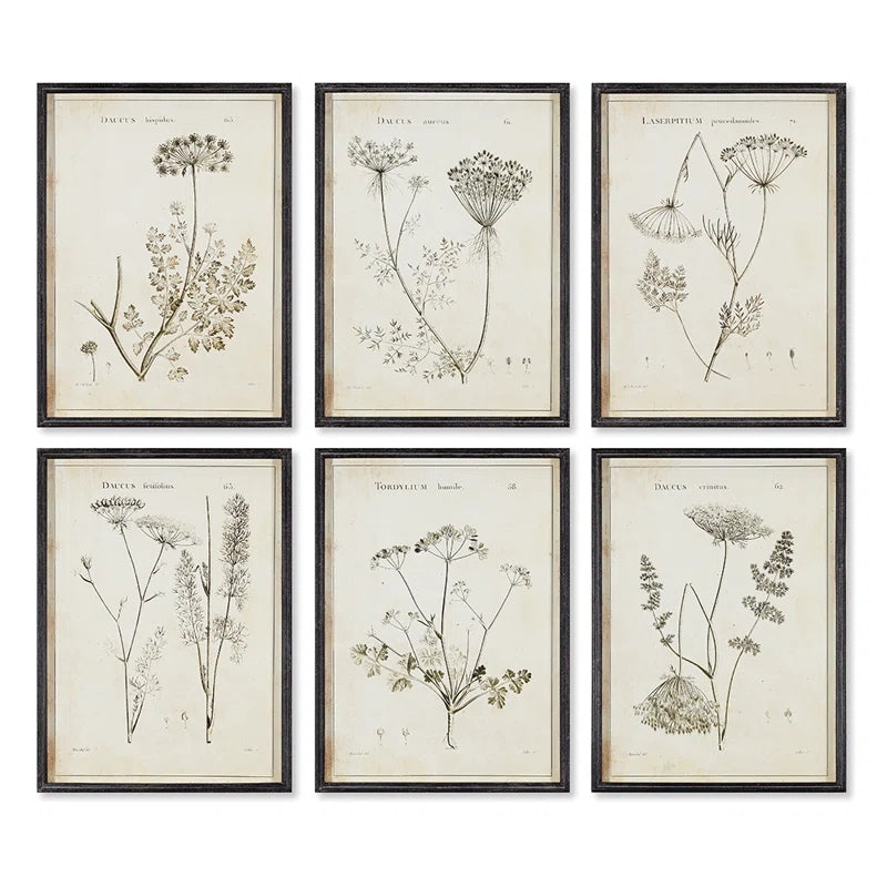Napa Home and Garden Wild Flower Wall Art