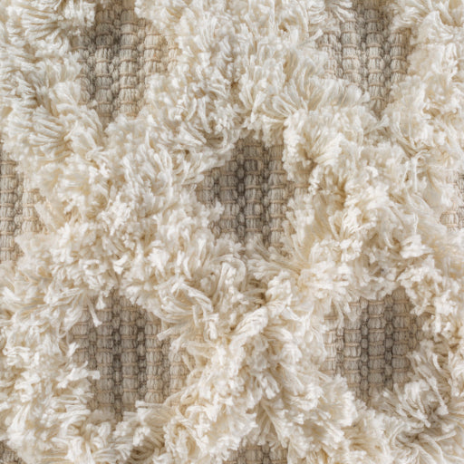 Boho Chic Edric Accent Pillow