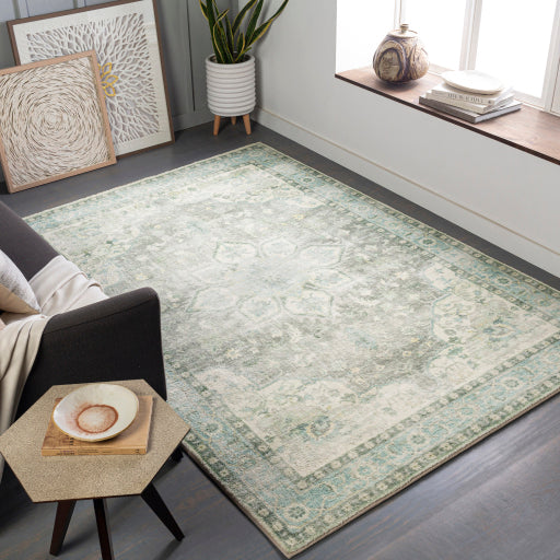 Erin Essence Machine Woven Rug