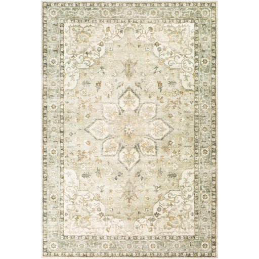 Erin Elegant Machine Woven Rug
