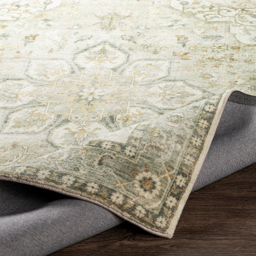Erin Elegant Machine Woven Rug