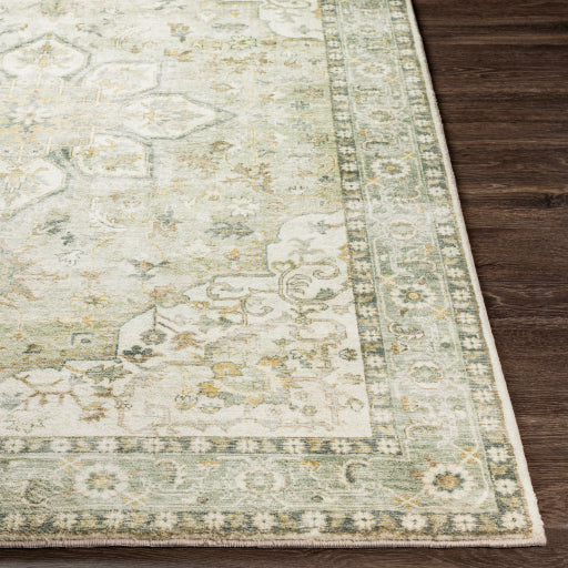 Erin Elegant Machine Woven Rug