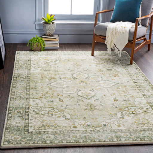 Erin Elegant Machine Woven Rug
