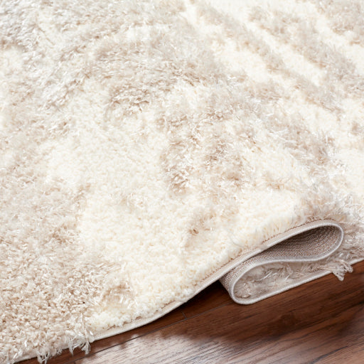Everton Elegance EVP-2300 Machine Woven Rug