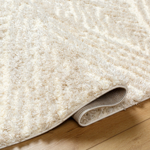 Everton Elegance EVP-2306 Machine Woven Rug