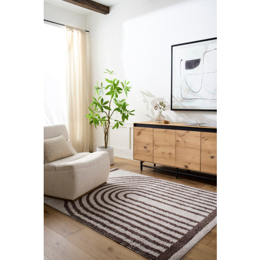 Fossay Shag Flair Weave Rug